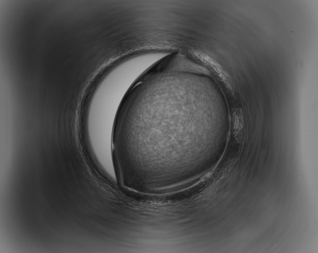 X0000093110684200710101022