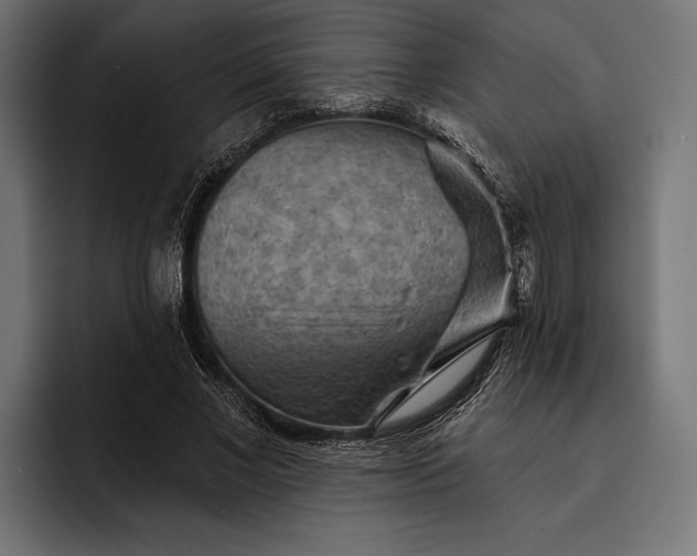 X0000093110685200710101022