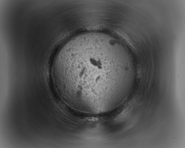 X0000093110687200710101022