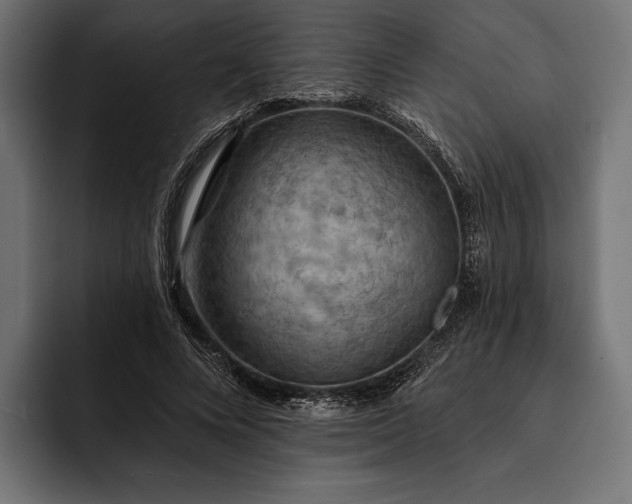 X0000093110688200710101022