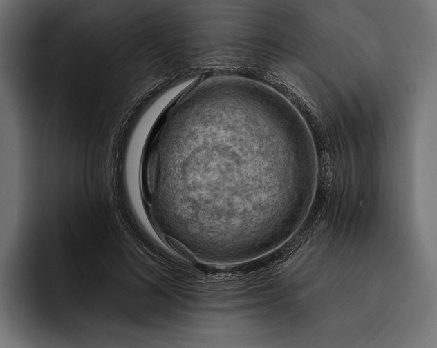 X0000093110692200710101022