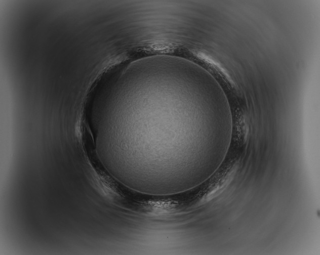 X0000093110693200710101022