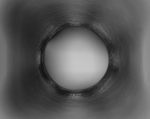 X0000093110694200710101022