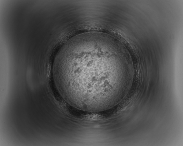 X0000093110695200710101022