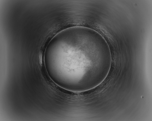 X0000093110696200710101022