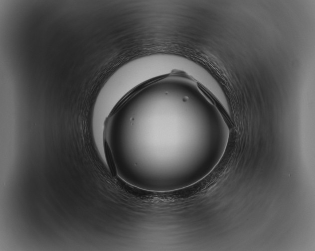 X0000093110697200710101022