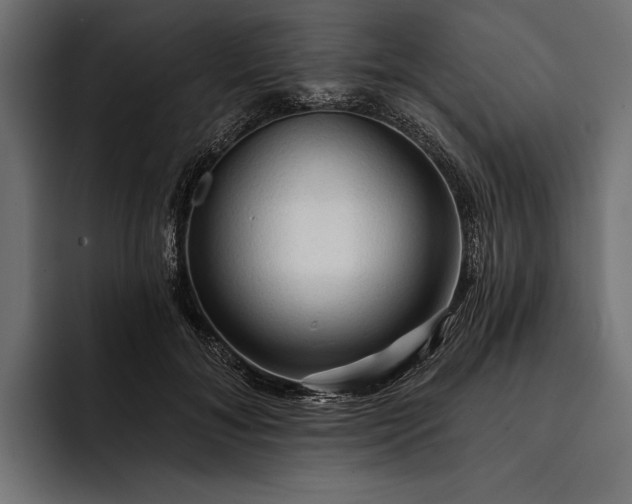 X0000093110700200710101022