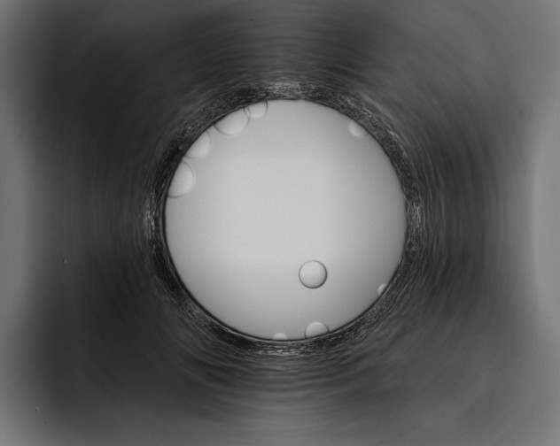 X0000093110702200710101022