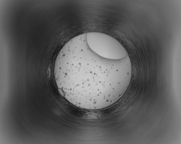 X0000093110703200710101022