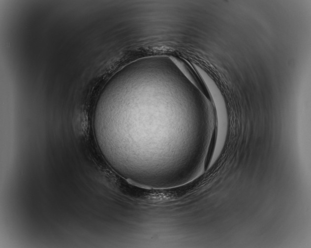 X0000093110704200710101022