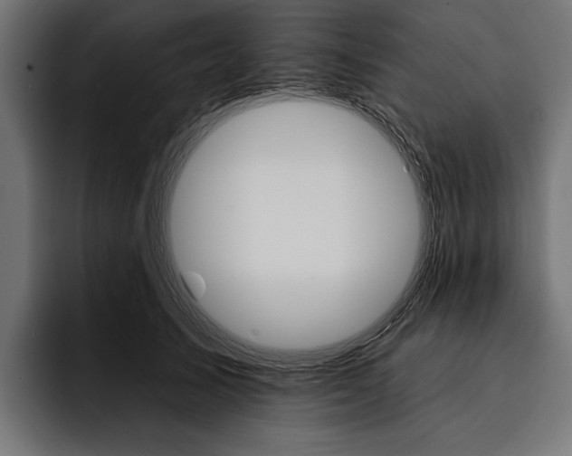 X0000093110705200710101022