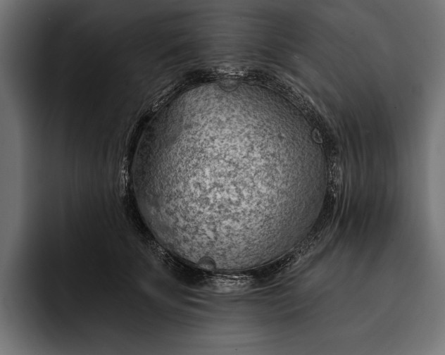 X0000093110707200710101022