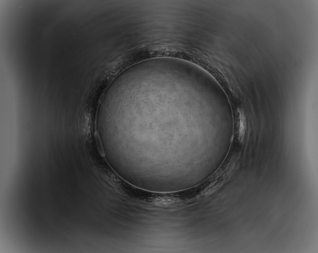 X0000093110708200710101022