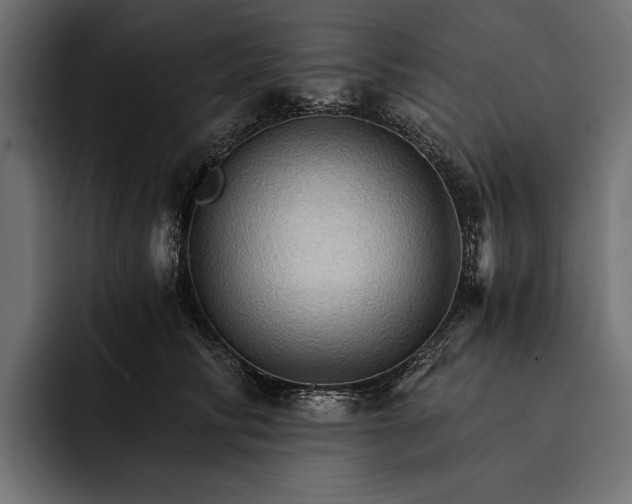 X0000093110710200710101022