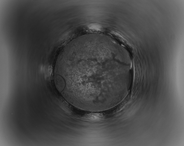 X0000093110711200710101022