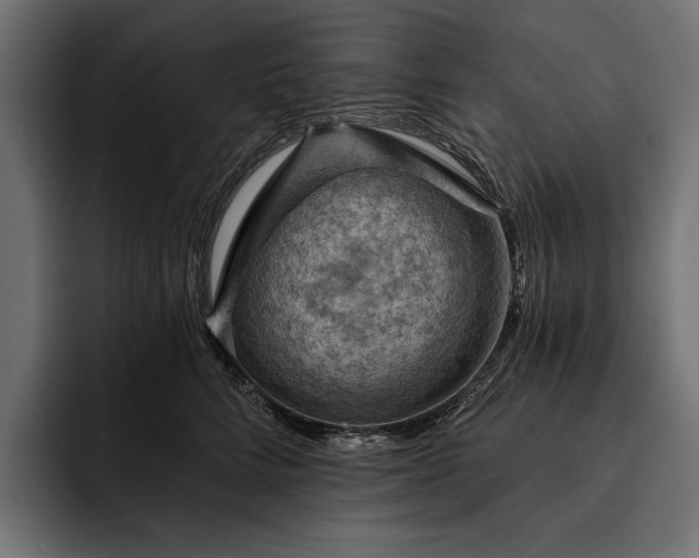 X0000093110712200710101022