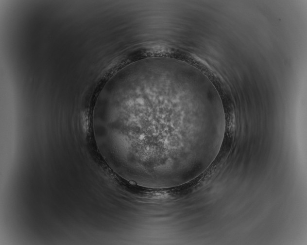 X0000093110715200710101022