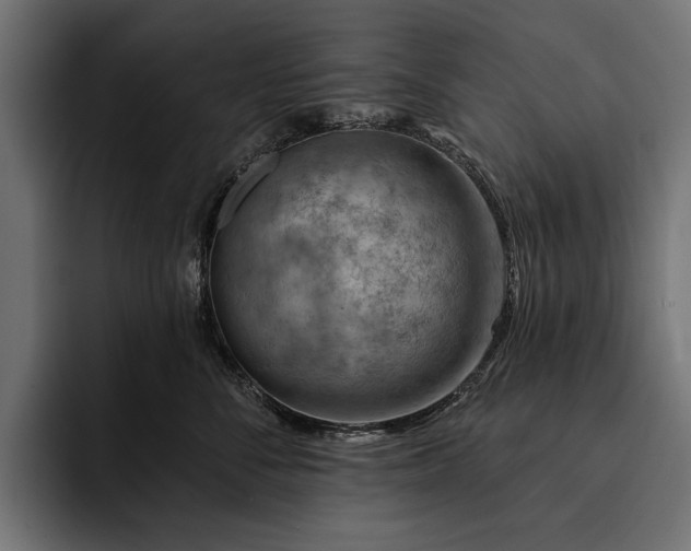 X0000093110716200710101022