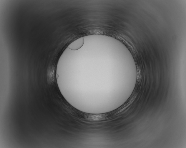 X0000093110717200710101022