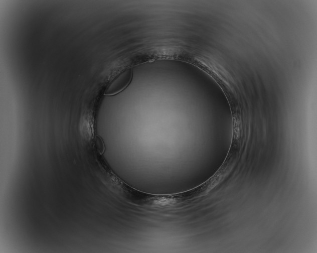 X0000093110718200710101022