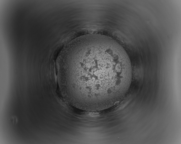 X0000093110719200710101022