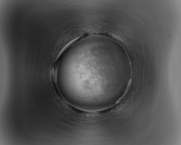 X0000093110720200710101022