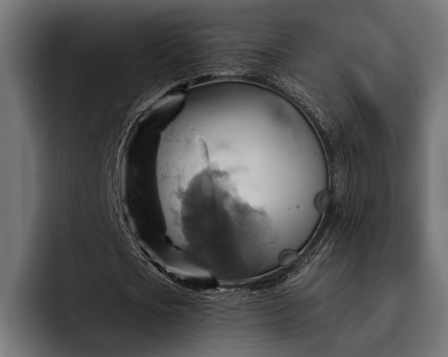 X0000093110721200710101021