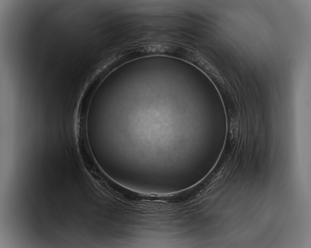 X0000093110722200710101021