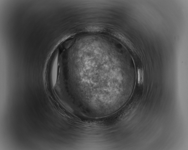 X0000093110723200710101021