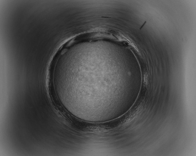 X0000093110724200710101021