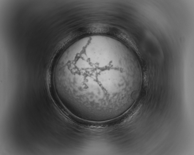 X0000093110725200710101021