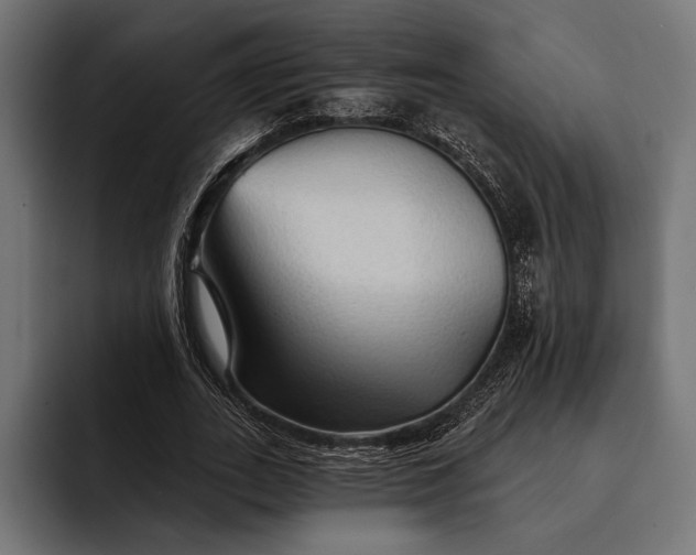 X0000093110727200710101021