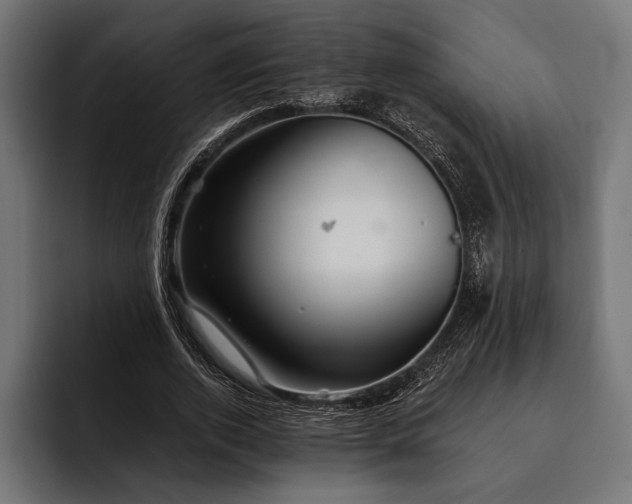 X0000093110728200710101021