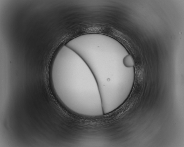 X0000093110729200710101021