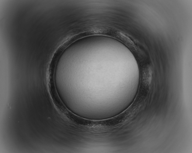 X0000093110730200710101021