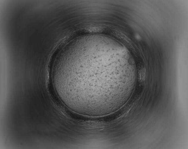 X0000093110733200710101021