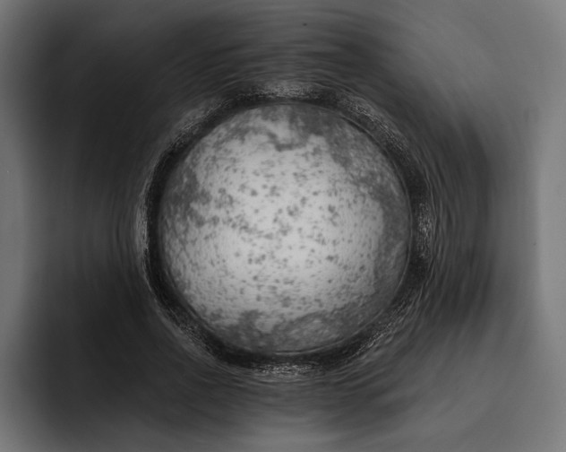 X0000093110734200710101021