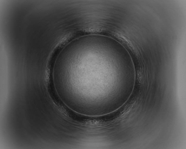 X0000093110735200710101021