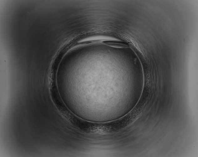 X0000093110736200710101021