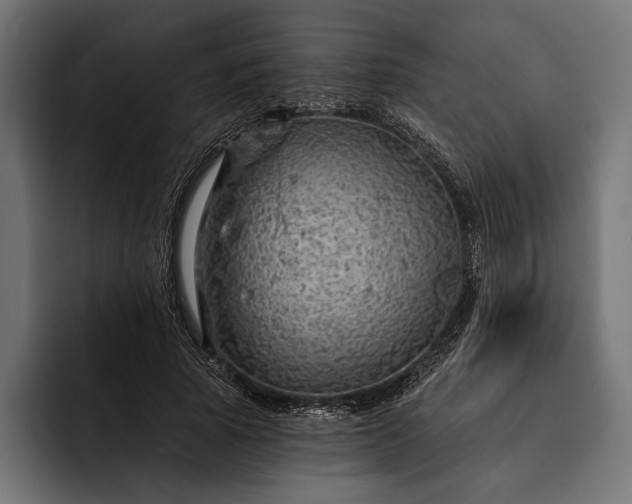 X0000093110737200710101021