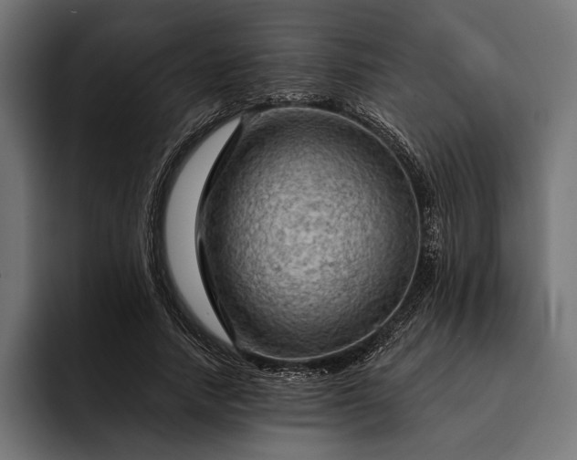 X0000093110738200710101021