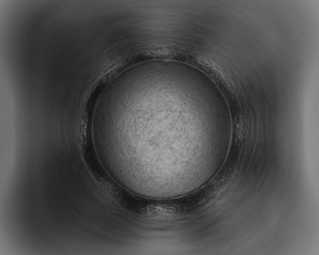 X0000093110739200710101021