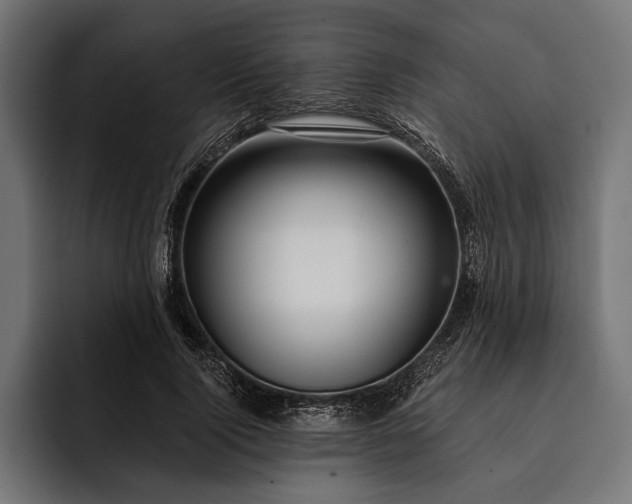 X0000093110740200710101021