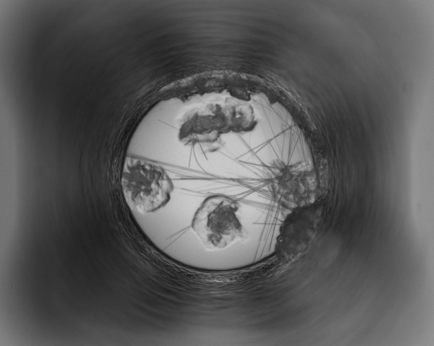 X0000093110741200710101021