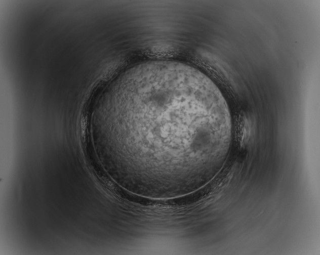 X0000093110742200710101021