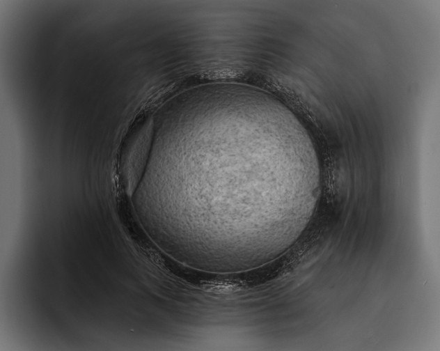 X0000093110743200710101021