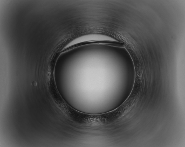 X0000093110744200710101021