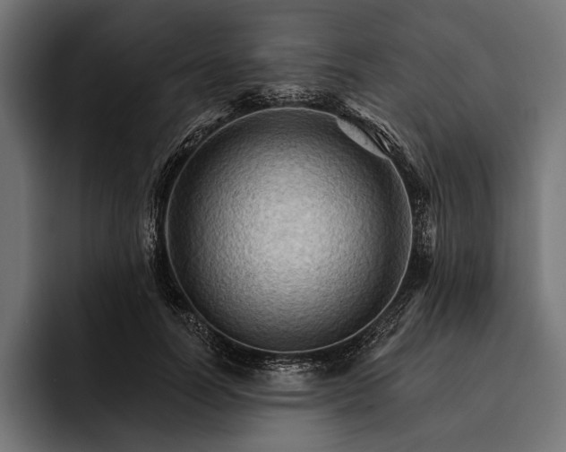 X0000093110746200710101021