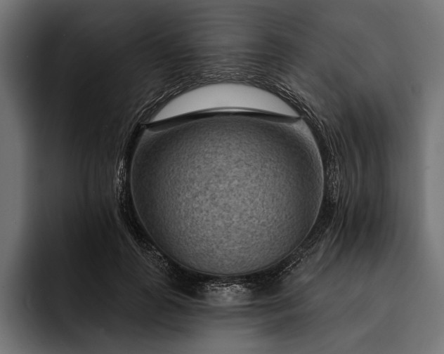 X0000093110747200710101021