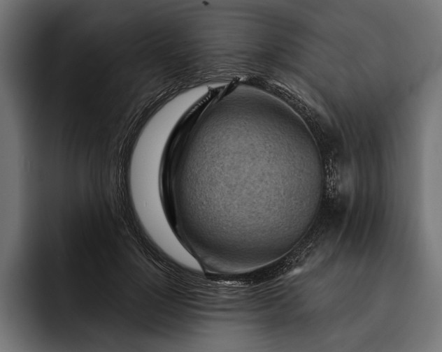 X0000093110748200710101021